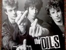 Punk Lp, The Dils 