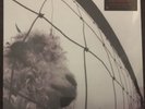 Pearl Jam - Vs. LP [Vinyl New] 180gm Gatefold Record Album Remaster Animal Blood