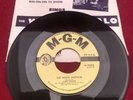 James Brown Its Lonesome Out Tonight White Buffalo 45RPM Record LP Rin Tin Tin