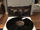 Foxing The Albatros 1st Pressing VERY RARE /150 Vinyl Record Punk Triple Crown