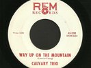 Kentucky Bluegrass Gospel 45   Calvary Trio   REM 392   Hear