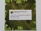 Weezer -Africa 7
