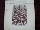 Beaver and Krause - In a Wild Sanctuary - vinyl LP