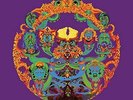 GRATEFUL DEAD-ANTHEM OF THE SUN (LTD) (PICT) (ANIV) (DL (UK IMPORT) VINYL LP NEW