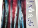 LUSH Origami 5xLP Box Set COLORED VINYL New SIGNED Miki Berenyi LE 2000 rsd