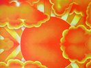 Various Artists : The Complete Acid Dreams VINYL 12