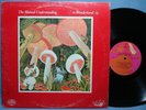 THE MUTUAL UNDERSTANDING IN WONDERLAND ORG 1969 LP CANADA SUNSHINE POP PSYCH