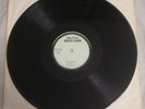 THE CONGOS Neckodeemus Solid Foundation 12