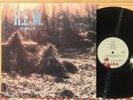 R.E.M. REM Murmur EX
