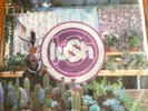 LUSH “Lovelife” Clear Vinyl LP Still Sealed RARE 4AD