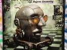 GOV'T MULE - LIFE BEFORE INSANITY  Original 2 LP US press on Evil Teen NM/NM    