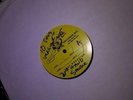Sublime Second Hand Smoke picture disc pic Skunk Records