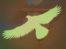 Eagles ?– Best of Live At The Summit, Houston, 1976 Vinyl NEW