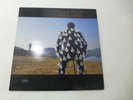 Original Pink Floyd Delicate Sound of Thunder LIVE Double Album Vinyl LP 12