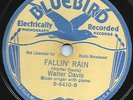 BLUES - WALTER DAVIS 