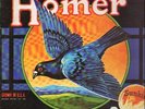 Homer Grown In U.S.A. RARE PSYCH NEAR MINT Breeder Vinyl LP
