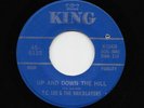 T.C. Lee & The Bricklayers - Up And Down The Hill / Get Away From Here (45) 6135