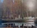 THE BEACH BOYS- HOLLAND /NrMINT/. K54008 UK ISSUE