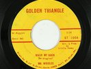 R&B Soul 45 - Mr. Wiggles - Wash My Back - Golden Triangle - VG+ mp3
