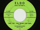 Blues 45 - Sugarcane - They Say You Never Can Miss - Eldo - mp3