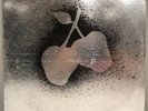 RARE Silver Apples LP 1968 Kapp Records KS-3562