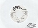 Tommy T & The Targets ?– Sales Pitch - Big R ?– 2001 - Promo 45 rpm 7
