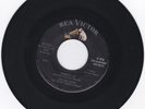 TITTY SHAKER 45RPM - THE WILD BEES ON RCA - RARE