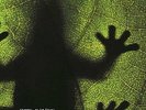 THE KINGS OF FROG ISLAND - Iv - LP (transparent green) Kozmik Artifactz