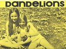 PASTE ON COVER PRIVATE PRESS FOLK ROCK PSYCH OUTSIDER CHILDREN DANDELIONS LP