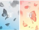 BTS IN THE MOOD FOR LOVE PT.2 4th Mini Album 2 Ver SET+2 Photo Book+2 Card+GIFT
