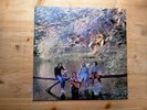Wings Wild Life Excellent Vinyl LP Record PCS 7142 1E 062 o 04946