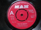 DAVE EDMUNDS' ROCKPILE - I HEAR YOU KNOCKING 1970 **RARE MAM DEMO/PROMO**