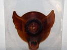 W.A.S.P. Animal F*ck Like A Beast Pig Shaped 7