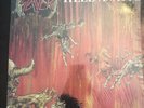 Slayer Hell Awaits Lp - 1st press. Metal Blade/Combat/Important