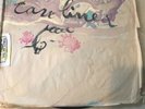 Caroliner - Rings on the Awkward Shadow 2 LP experimental DIY Original Pressing