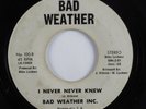 70s Soul 45 BAD WEATHER INC. I Never Never Knew BAD WEATHER HEAR