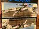 RARE Widespread Panic Space Wrangler Vinyl LP MINT Landslide Records 1988