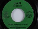 70s Soul 45 JOBELL & ORCHESTRA DE SALSA Never Gonna Let You Go JAN HEAR