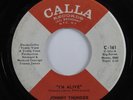 Funk Psych 45 JOHNNY THUNDER I'm Alive CALLA HEAR