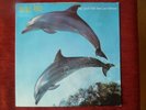 Orange Juice - You Can't Hide Your Love Forever GER LP 1982    TOP MINT   RARE