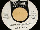 MONSTER 1960s Garage Fuzz 45 - ART GUY 