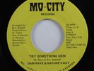 Funk/Sweet Soul 45 DANI RAYE & NATURE'S WAY Try Something New MO-CITY HEAR