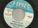 GARAGE PUNK - UNRELATED SEGMENTS- STORY OF MY LIFE  -HEAR -1966 HBR