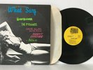 WHAT SURF   compilation LP Agent Orange Pyramids Halibuts, What Records W12-2406