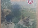 GUIDED BY VOICES - Briefcase 4 Captain Kangaroo Won the War - Ltd red vinyl LP 