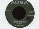 THE WHIRLWINDS Darkeness on the Delta on AOBA Instro Rocker 45 Hear