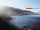 Morning View [LP] by Incubus (Vinyl, Jan-2013, 2 Records) lightly used