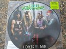 Steel Panther - Lower The Bar bitchin' Edition Picture Disc Brand New