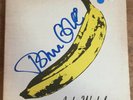 VELVET UNDERGROUND & NICO-Andy Warhol LP 1973 SIGNED BY JOHN CALE