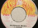 TREVOR BYFIELD Burning Bush FOX FIRE DSR8161 JA 1978 Roots Reggae 7” EX-/VG+